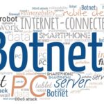 What is a Botnet?