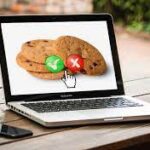 Understanding Cookies: What They Are and How They Work