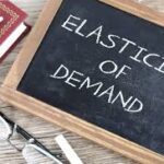 Understanding Elasticity: The Key to Market Dynamics and Decision-making