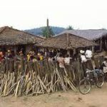 Swayam Mahaonline: A Portal for Tribal Development in Maharashtra