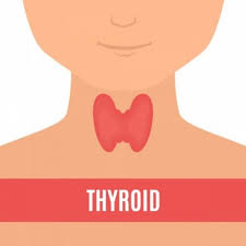 Unraveling the Intricacies of Thyroid Health: A Comprehensive Guide