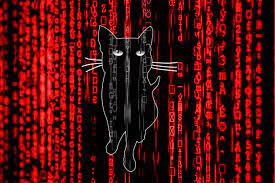 BlackCat Ransomware Gang Identified as Culprits Behind Reddit Breach from February