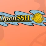 OpenSSH Vulnerability Exposes Risks of Weaponization